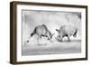 Combat.-Juan Luis Duran-Framed Photographic Print