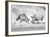 Combat.-Juan Luis Duran-Framed Photographic Print