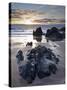 Combesgate Beach, Devon, England, United Kingdom, Europe-Jeremy Lightfoot-Stretched Canvas