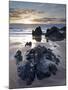 Combesgate Beach, Devon, England, United Kingdom, Europe-Jeremy Lightfoot-Mounted Photographic Print