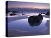 Combesgate Beach, Devon, England, United Kingdom, Europe-Jeremy Lightfoot-Stretched Canvas