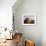 Combine Harvester Baling Hay, Seen from the Cotswolds Way Footpath, the Coltswolds, England-David Hughes-Framed Photographic Print displayed on a wall