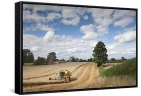 Combine Harvester Harvesting Oats (Avena Sativa), Haregill Lodge Farm, Ellingstring,Yorkshire, UK-Paul Harris-Framed Stretched Canvas
