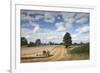 Combine Harvester Harvesting Oats (Avena Sativa), Haregill Lodge Farm, Ellingstring,Yorkshire, UK-Paul Harris-Framed Photographic Print