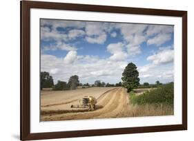 Combine Harvester Harvesting Oats (Avena Sativa), Haregill Lodge Farm, Ellingstring,Yorkshire, UK-Paul Harris-Framed Photographic Print