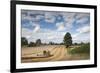 Combine Harvester Harvesting Oats (Avena Sativa), Haregill Lodge Farm, Ellingstring,Yorkshire, UK-Paul Harris-Framed Photographic Print