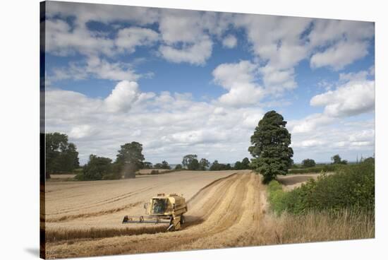 Combine Harvester Harvesting Oats (Avena Sativa), Haregill Lodge Farm, Ellingstring,Yorkshire, UK-Paul Harris-Stretched Canvas