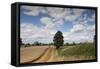 Combine Harvester Harvesting Oats, Ellingstring, North Yorkshire, England, UK, August-Paul Harris-Framed Stretched Canvas