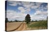 Combine Harvester Harvesting Oats, Ellingstring, North Yorkshire, England, UK, August-Paul Harris-Stretched Canvas