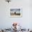 Combine Harvester Harvesting Oats, Ellingstring, North Yorkshire, England, UK, August-Paul Harris-Framed Photographic Print displayed on a wall