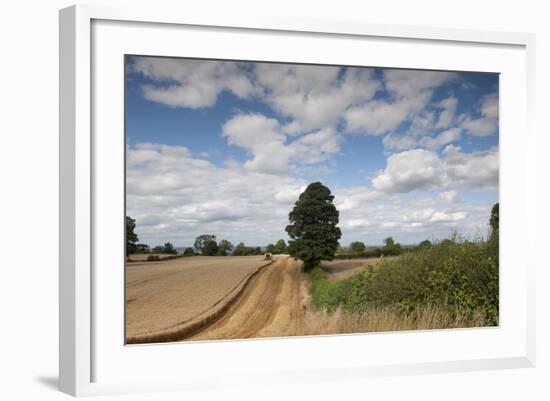 Combine Harvester Harvesting Oats, Ellingstring, North Yorkshire, England, UK, August-Paul Harris-Framed Photographic Print