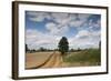 Combine Harvester Harvesting Oats, Ellingstring, North Yorkshire, England, UK, August-Paul Harris-Framed Photographic Print