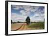 Combine Harvester Harvesting Oats, Ellingstring, North Yorkshire, England, UK, August-Paul Harris-Framed Photographic Print