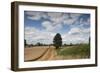 Combine Harvester Harvesting Oats, Ellingstring, North Yorkshire, England, UK, August-Paul Harris-Framed Photographic Print