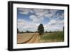 Combine Harvester Harvesting Oats, Ellingstring, North Yorkshire, England, UK, August-Paul Harris-Framed Photographic Print