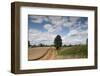 Combine Harvester Harvesting Oats, Ellingstring, North Yorkshire, England, UK, August-Paul Harris-Framed Photographic Print