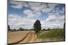 Combine Harvester Harvesting Oats, Ellingstring, North Yorkshire, England, UK, August-Paul Harris-Mounted Photographic Print