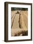 Combine Harvester Harvesting Oats, Haregill Lodge Farm, North Yorkshire, England-Paul Harris-Framed Photographic Print