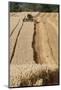 Combine Harvester Harvesting Oats, Haregill Lodge Farm, North Yorkshire, England-Paul Harris-Mounted Photographic Print