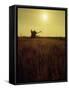 Combine Harvester in Field at Sunset-John Zimmerman-Framed Stretched Canvas