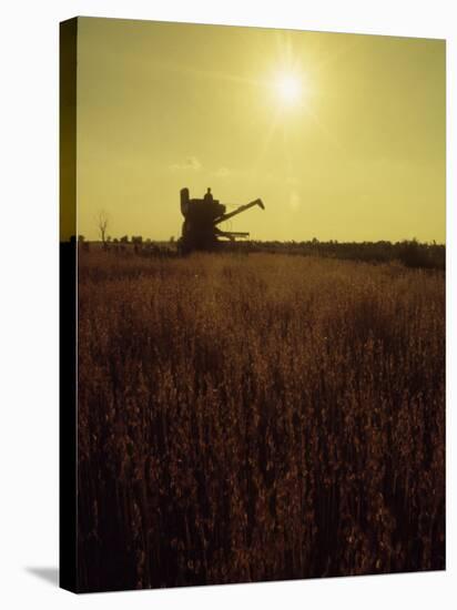 Combine Harvester in Field at Sunset-John Zimmerman-Stretched Canvas