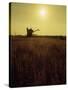 Combine Harvester in Field at Sunset-John Zimmerman-Stretched Canvas