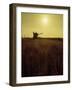 Combine Harvester in Field at Sunset-John Zimmerman-Framed Photographic Print