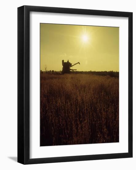 Combine Harvester in Field at Sunset-John Zimmerman-Framed Photographic Print