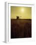 Combine Harvester in Field at Sunset-John Zimmerman-Framed Photographic Print