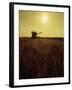 Combine Harvester in Field at Sunset-John Zimmerman-Framed Photographic Print