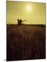 Combine Harvester in Field at Sunset-John Zimmerman-Mounted Photographic Print