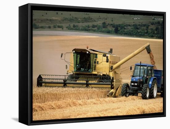 Combine Harvester Off-loading Grain-Jeremy Walker-Framed Stretched Canvas