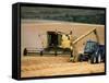 Combine Harvester Off-loading Grain-Jeremy Walker-Framed Stretched Canvas