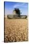 Combine Harvester Working In a Wheat Field-Jeremy Walker-Stretched Canvas
