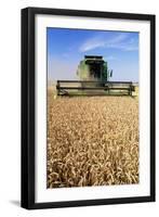 Combine Harvester Working In a Wheat Field-Jeremy Walker-Framed Premium Photographic Print