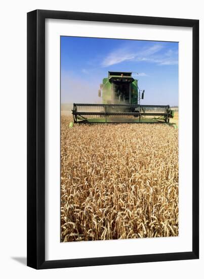 Combine Harvester Working In a Wheat Field-Jeremy Walker-Framed Premium Photographic Print