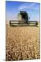 Combine Harvester Working In a Wheat Field-Jeremy Walker-Mounted Premium Photographic Print