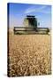 Combine Harvester Working In a Wheat Field-Jeremy Walker-Stretched Canvas