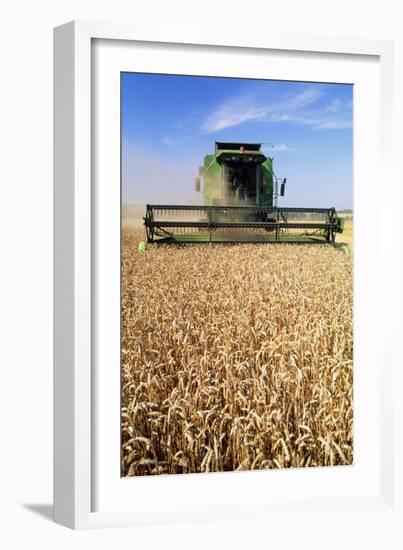 Combine Harvester Working In a Wheat Field-Jeremy Walker-Framed Photographic Print