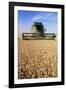 Combine Harvester Working In a Wheat Field-Jeremy Walker-Framed Photographic Print