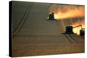 Combine Harvesters And Tractor Working In a Field-Jeremy Walker-Stretched Canvas