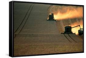 Combine Harvesters And Tractor Working In a Field-Jeremy Walker-Framed Stretched Canvas