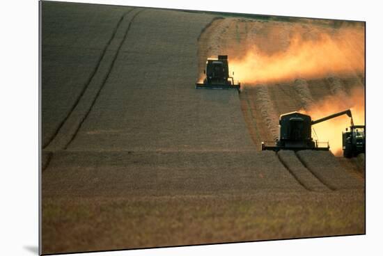 Combine Harvesters And Tractor Working In a Field-Jeremy Walker-Mounted Photographic Print