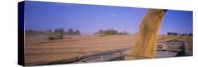 Combine Harvesting Soybeans in a Field, Minnesota, USA-null-Stretched Canvas