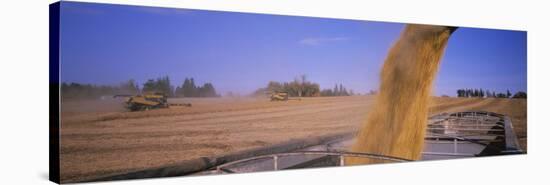 Combine Harvesting Soybeans in a Field, Minnesota, USA-null-Stretched Canvas