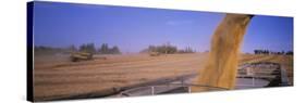 Combine Harvesting Soybeans in a Field, Minnesota, USA-null-Stretched Canvas