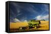 Combine Harvesting Wheat, Palouse Country, Washington, USA-Terry Eggers-Framed Stretched Canvas