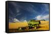 Combine Harvesting Wheat, Palouse Country, Washington, USA-Terry Eggers-Framed Stretched Canvas