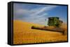 Combine Harvesting Wheat, Palouse Country, Washington, USA-Terry Eggers-Framed Stretched Canvas