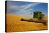 Combine Harvesting Wheat, Palouse Country, Washington, USA-Terry Eggers-Stretched Canvas